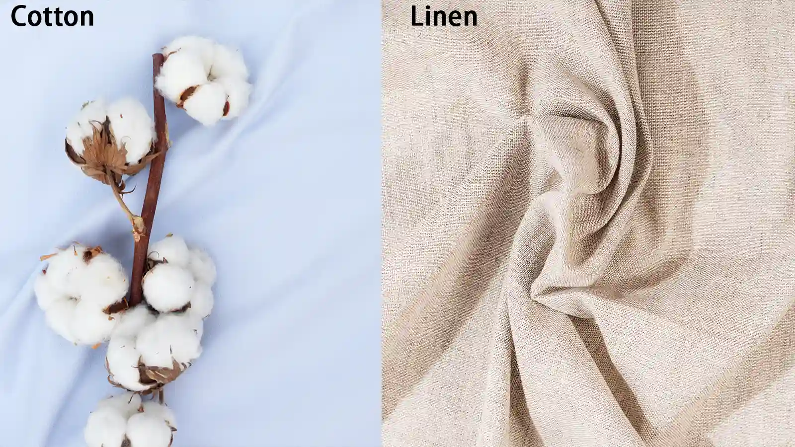 Linen Vs Cotton