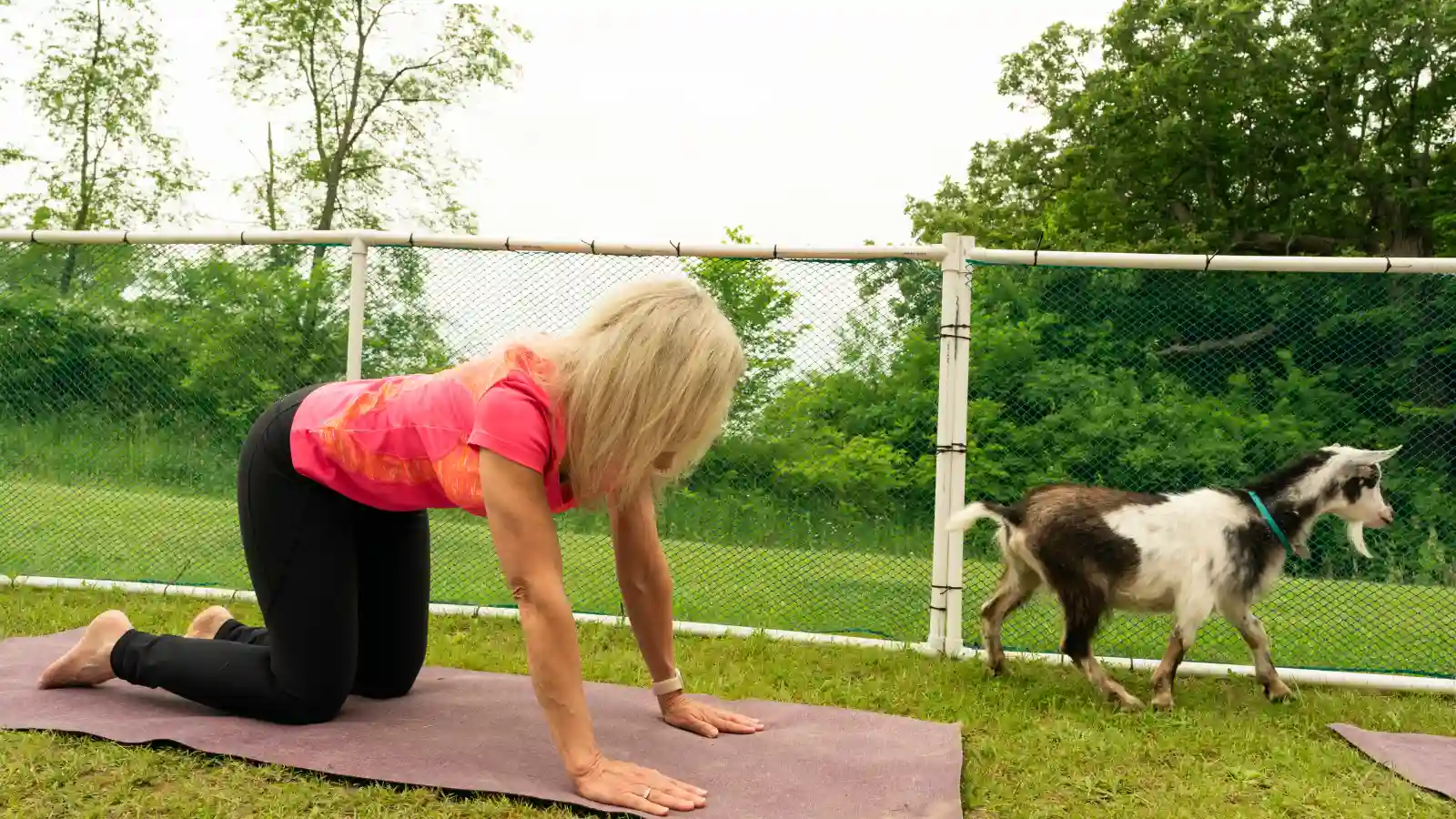 What to Wear to Goat Yoga
